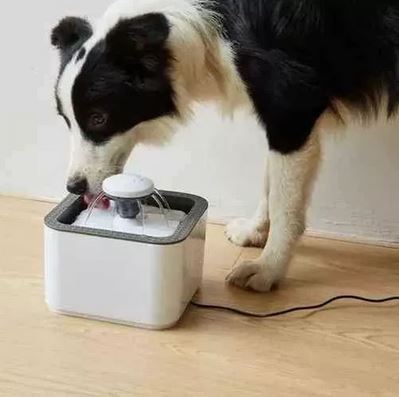 Dispensadogcatᵀᴹ